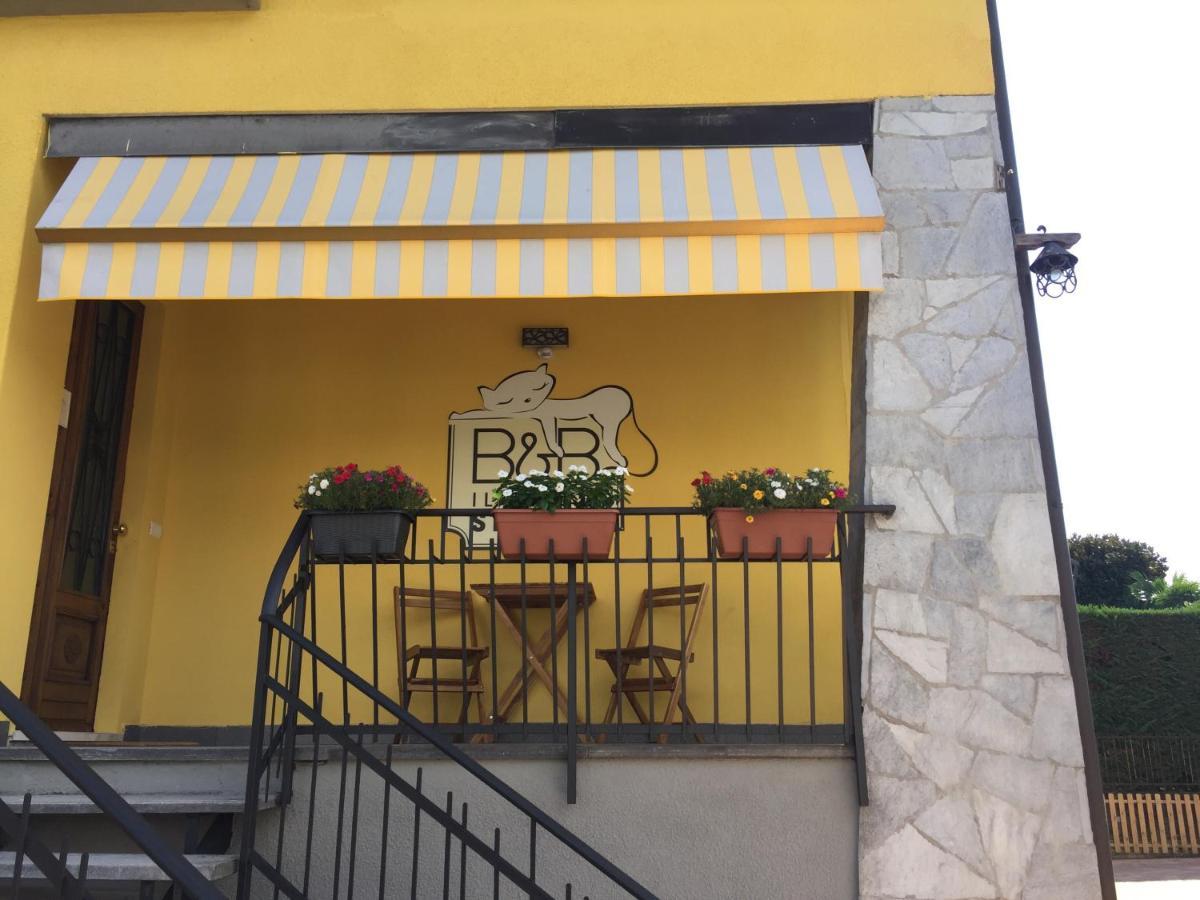 أرونا Il Gatto Stanco B&B المظهر الخارجي الصورة